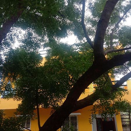 Thendral Hostel Monthly Rental Пондичерри Экстерьер фото
